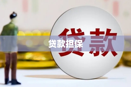 高安贷款担保