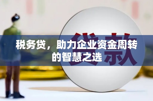 独山税务贷，助力企业资金周转的智慧之选