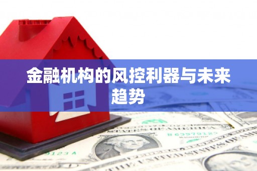 水里金融机构的风控利器与未来趋势