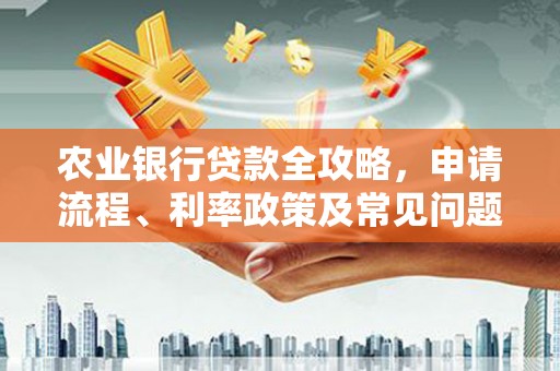仑背农业银行贷款全攻略，申请流程、利率政策及常见问题解析