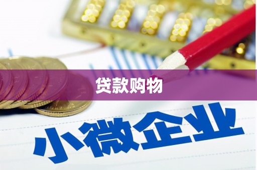 美溪贷款购物