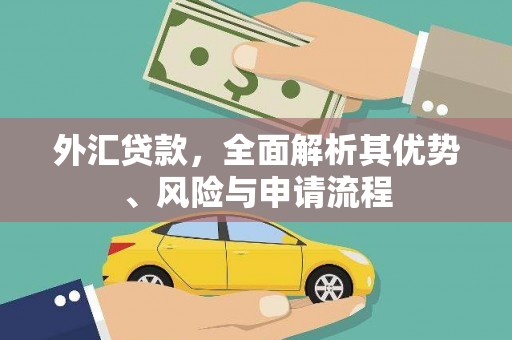 中埔外汇贷款，全面解析其优势、风险与申请流程
