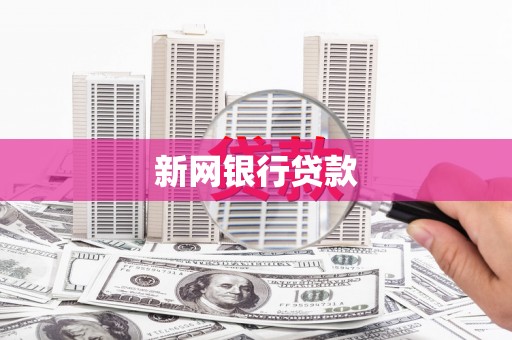 大洼新网银行贷款