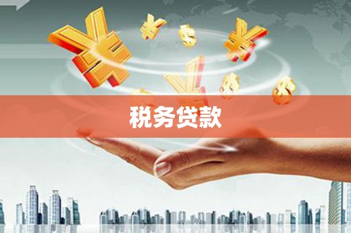 磁县税务贷款