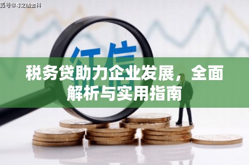 东台税务贷助力企业发展，全面解析与实用指南