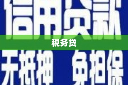 曲麻莱税务贷