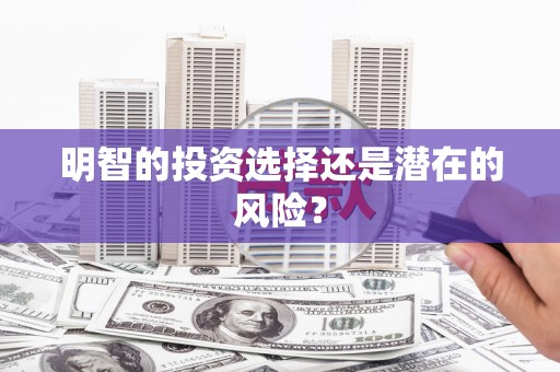 馆陶明智的投资选择还是潜在的风险？