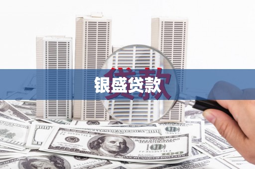 遂昌银盛贷款