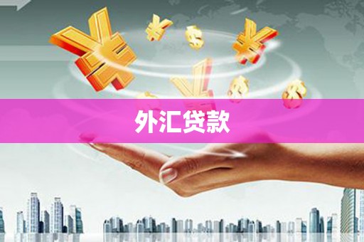 汤原外汇贷款