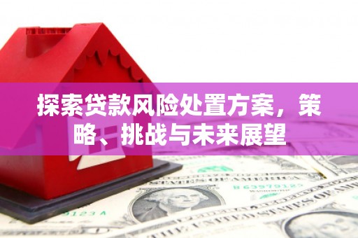 阳高探索贷款风险处置方案，策略、挑战与未来展望