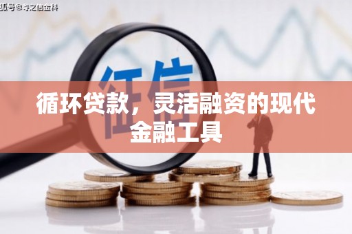 开化循环贷款，灵活融资的现代金融工具
