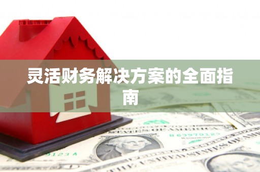 狮潭灵活财务解决方案的全面指南