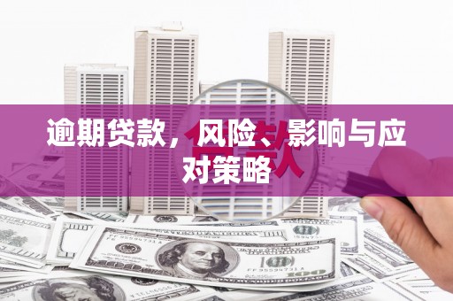 麦寮逾期贷款，风险、影响与应对策略