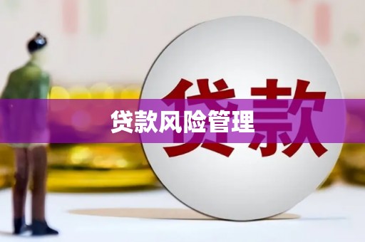 丹徒贷款风险管理