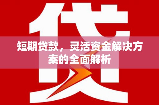 六枝短期贷款，灵活资金解决方案的全面解析