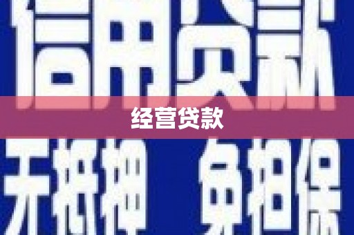 金阳经营贷款