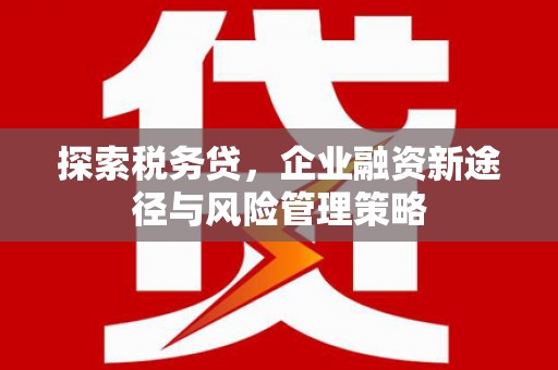 金塘探索税务贷，企业融资新途径与风险管理策略