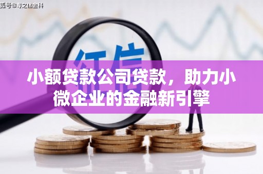 坪山新区小额贷款公司贷款，助力小微企业的金融新引擎