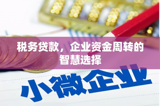 岐山税务贷款，企业资金周转的智慧选择