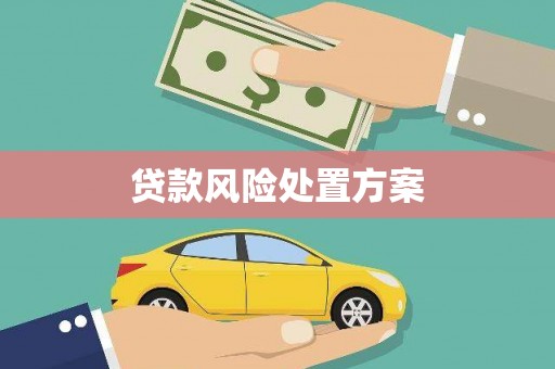 连山贷款风险处置方案