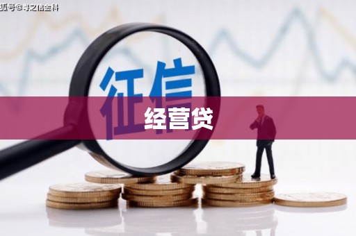 西林经营贷