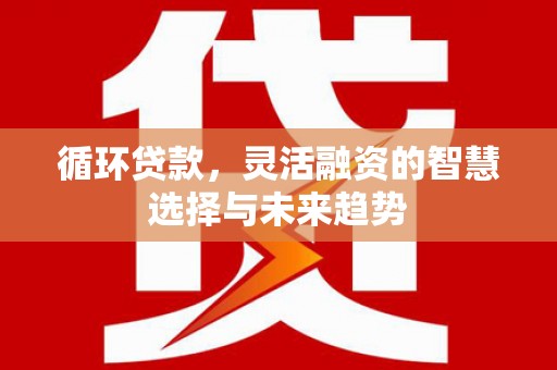 八宿循环贷款，灵活融资的智慧选择与未来趋势
