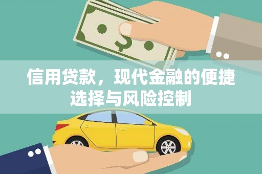 武进信用贷款，现代金融的便捷选择与风险控制