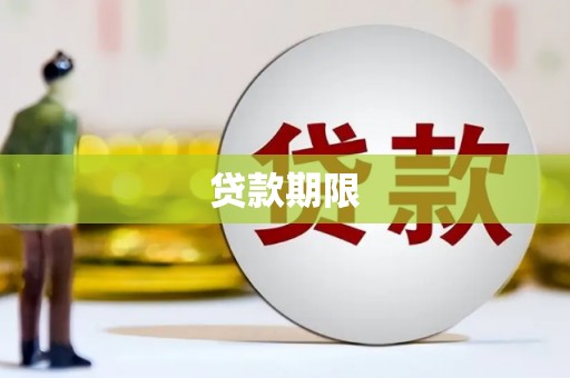 囊谦贷款期限