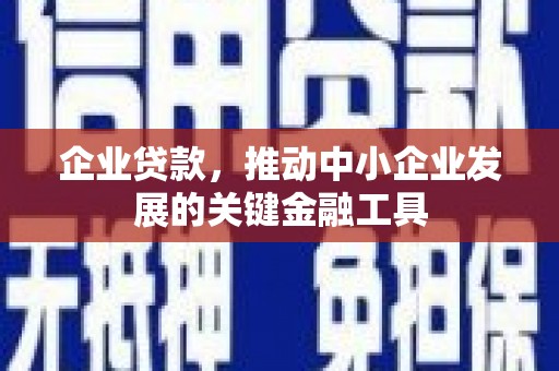 施秉企业贷款，推动中小企业发展的关键金融工具
