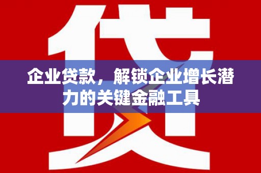 囊谦企业贷款，解锁企业增长潜力的关键金融工具