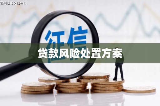 阿里山贷款风险处置方案