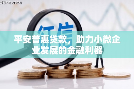 大甲平安普惠贷款，助力小微企业发展的金融利器