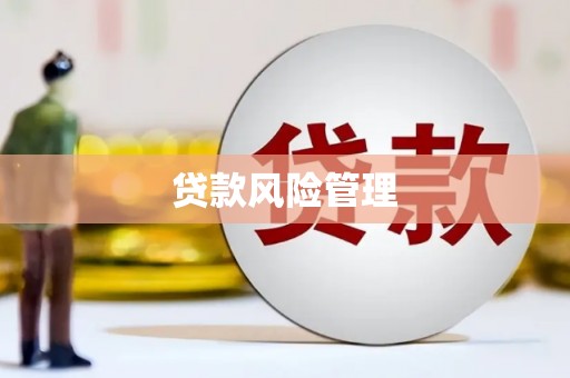 施秉贷款风险管理