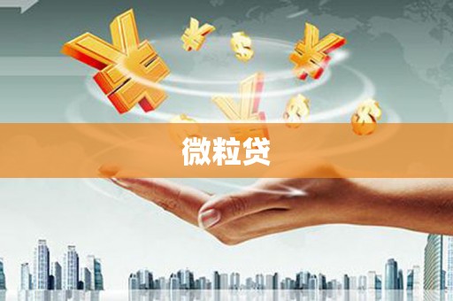中卫微粒贷