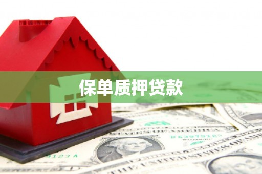 叶城保单质押贷款