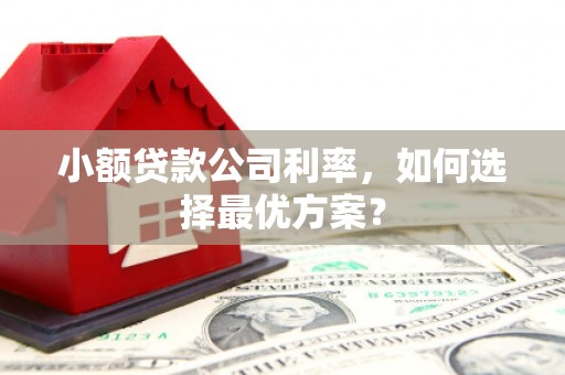 龙城小额贷款公司利率，如何选择最优方案？
