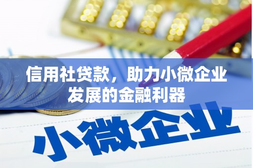 昆都仑信用社贷款，助力小微企业发展的金融利器