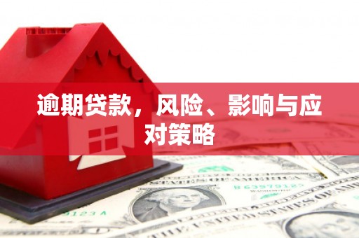 木兰逾期贷款，风险、影响与应对策略