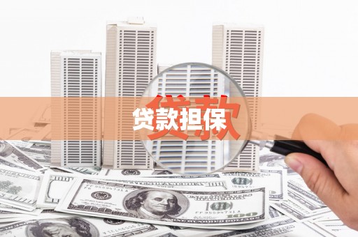 瑞芳贷款担保