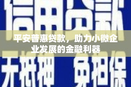 庄浪平安普惠贷款，助力小微企业发展的金融利器