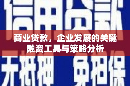 安阳商业贷款，企业发展的关键融资工具与策略分析