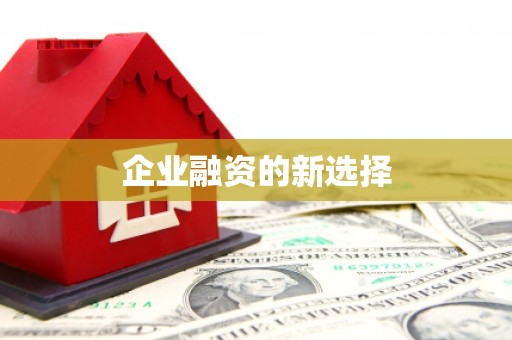 龙山企业融资的新选择