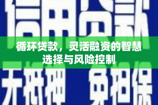 瑞穗循环贷款，灵活融资的智慧选择与风险控制