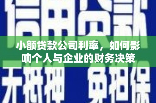 禄劝小额贷款公司利率，如何影响个人与企业的财务决策