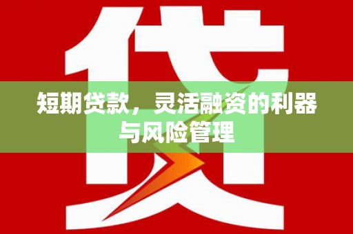 大邑短期贷款，灵活融资的利器与风险管理