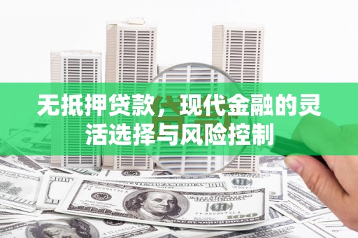 南京无抵押贷款，现代金融的灵活选择与风险控制