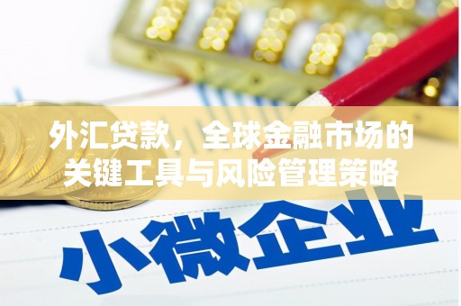 恭城外汇贷款，全球金融市场的关键工具与风险管理策略