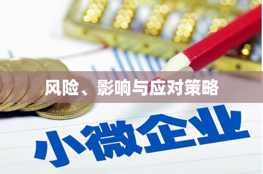 应县风险、影响与应对策略