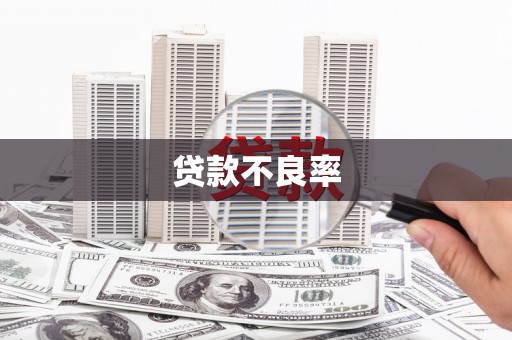 阳新贷款不良率