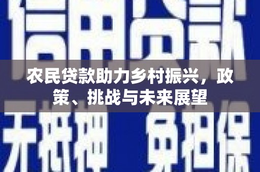 港南农民贷款助力乡村振兴，政策、挑战与未来展望
